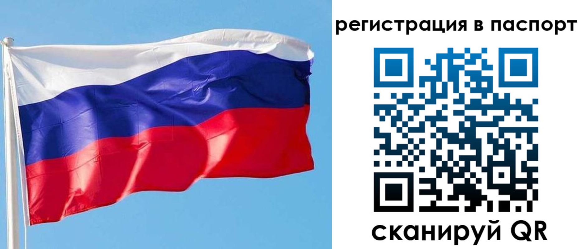 прописка законно в Ардоне
